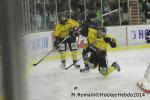 Photo hockey match Chamonix  - Rouen le 02/01/2014