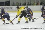 Photo hockey match Chamonix  - Rouen le 02/01/2014