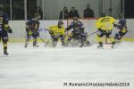 Photo hockey match Chamonix  - Rouen le 02/01/2014