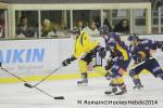 Photo hockey match Chamonix  - Rouen le 02/01/2014