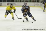 Photo hockey match Chamonix  - Rouen le 02/01/2014