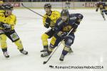 Photo hockey match Chamonix  - Rouen le 02/01/2014