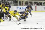 Photo hockey match Chamonix  - Rouen le 02/01/2014