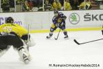 Photo hockey match Chamonix  - Rouen le 02/01/2014