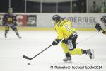 Photo hockey match Chamonix  - Rouen le 02/01/2014