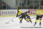 Photo hockey match Chamonix  - Rouen le 02/01/2014