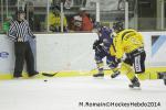 Photo hockey match Chamonix  - Rouen le 02/01/2014