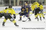 Photo hockey match Chamonix  - Rouen le 02/01/2014