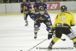Photo hockey match Chamonix  - Rouen le 02/01/2014