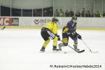 Photo hockey match Chamonix  - Rouen le 02/01/2014