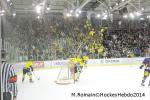 Photo hockey match Chamonix  - Rouen le 02/01/2014