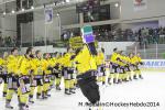 Photo hockey match Chamonix  - Rouen le 02/01/2014