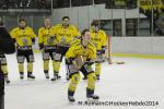 Photo hockey match Chamonix  - Rouen le 02/01/2014