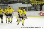 Photo hockey match Chamonix  - Rouen le 02/01/2014