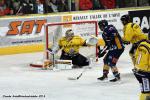 Photo hockey match Chamonix  - Rouen le 04/03/2014