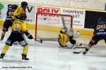 Photo hockey match Chamonix  - Rouen le 04/03/2014