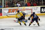 Photo hockey match Chamonix  - Rouen le 04/03/2014