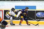 Photo hockey match Chamonix  - Rouen le 14/11/2014