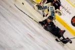 Photo hockey match Chamonix  - Rouen le 25/11/2018