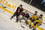 Photo hockey match Chamonix  - Rouen le 25/11/2018