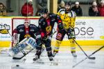 Photo hockey match Chamonix  - Rouen le 29/01/2019
