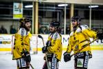 Photo hockey match Chamonix  - Rouen le 29/01/2019