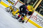 Photo hockey match Chamonix  - Rouen le 29/01/2019