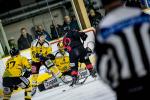 Photo hockey match Chamonix  - Rouen le 05/03/2019