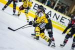 Photo hockey match Chamonix  - Rouen le 05/03/2019