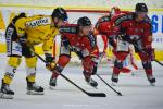 Photo hockey match Chamonix  - Rouen le 07/10/2022