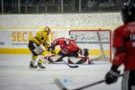 Photo hockey match Chamonix  - Rouen le 25/02/2024