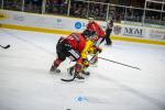 Photo hockey match Chamonix  - Rouen le 25/02/2024