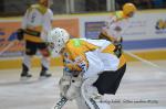 Photo hockey match Chamonix  - Strasbourg  le 24/01/2014