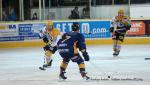 Photo hockey match Chamonix  - Strasbourg  le 24/01/2014
