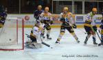 Photo hockey match Chamonix  - Strasbourg  le 24/01/2014