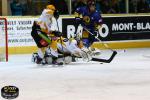 Photo hockey match Chamonix  - Strasbourg  le 13/01/2015