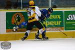Photo hockey match Chamonix  - Strasbourg  le 29/01/2016