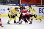 Photo hockey match Chamonix  - Strasbourg  le 06/10/2017