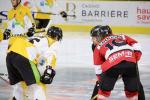 Photo hockey match Chamonix  - Strasbourg  le 06/10/2017