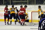 Photo hockey match Chamonix  - Strasbourg  le 03/01/2018