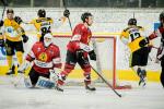 Photo hockey match Chamonix  - Strasbourg  le 06/03/2018