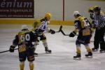 Photo hockey match Chamonix  - Strasbourg  le 23/01/2010