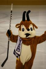 Photo hockey match Chamonix  - Strasbourg  le 30/12/2011