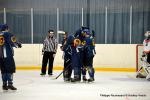 Photo hockey match Champigny-sur-Marne - Montpellier  le 12/03/2016