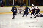 Photo hockey match Champigny-sur-Marne - Montpellier  le 12/03/2016