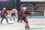 Photo hockey match Clermont-Ferrand - Colmar le 03/12/2022
