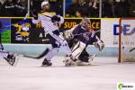 Photo hockey match Clermont-Ferrand - Dunkerque le 04/03/2017