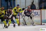 Photo hockey match Clermont-Ferrand - Limoges le 02/09/2017