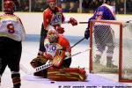 Photo hockey match Clermont-Ferrand - Meudon le 03/01/2015