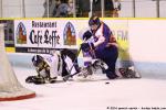 Photo hockey match Clermont-Ferrand - Roanne le 22/11/2014